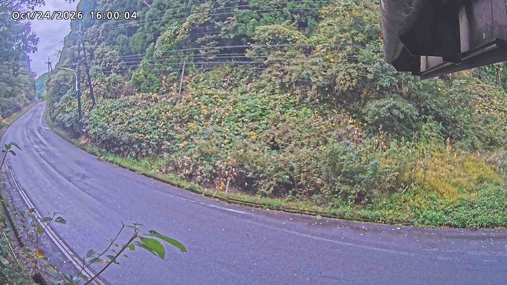南部町大木屋