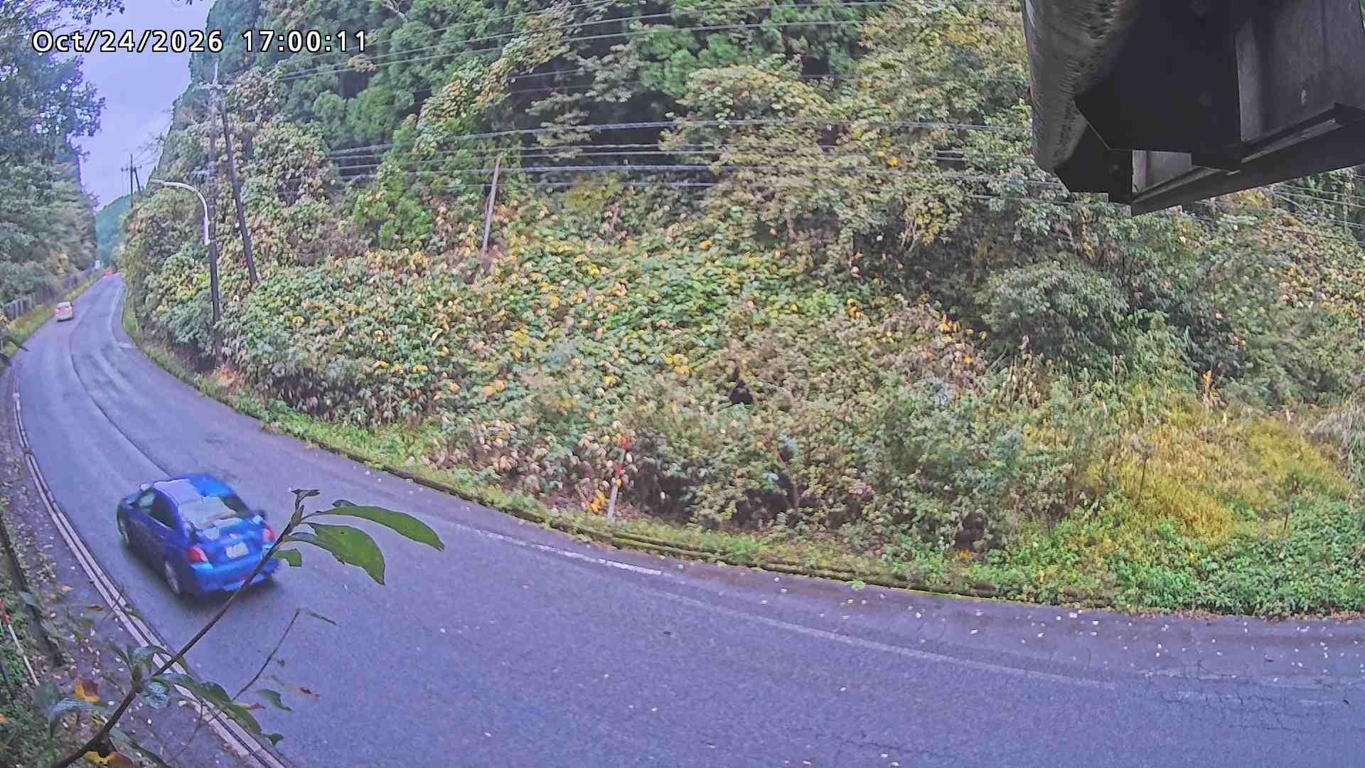 南部町大木屋