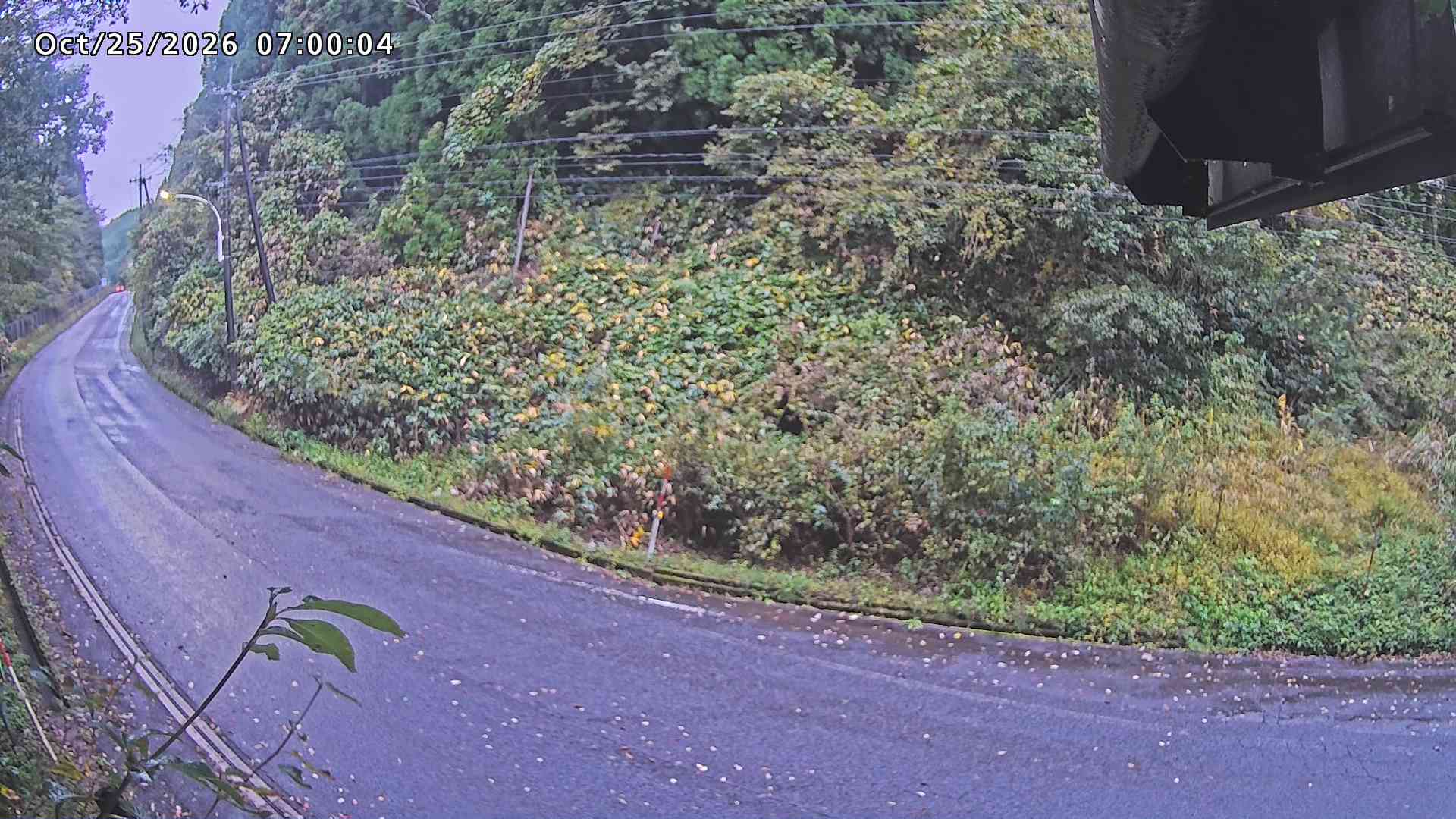 南部町大木屋