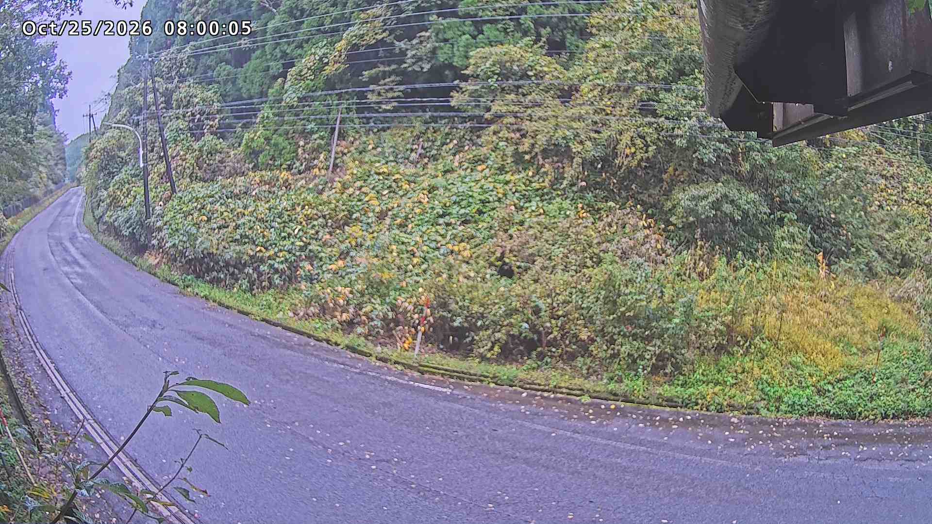 南部町大木屋