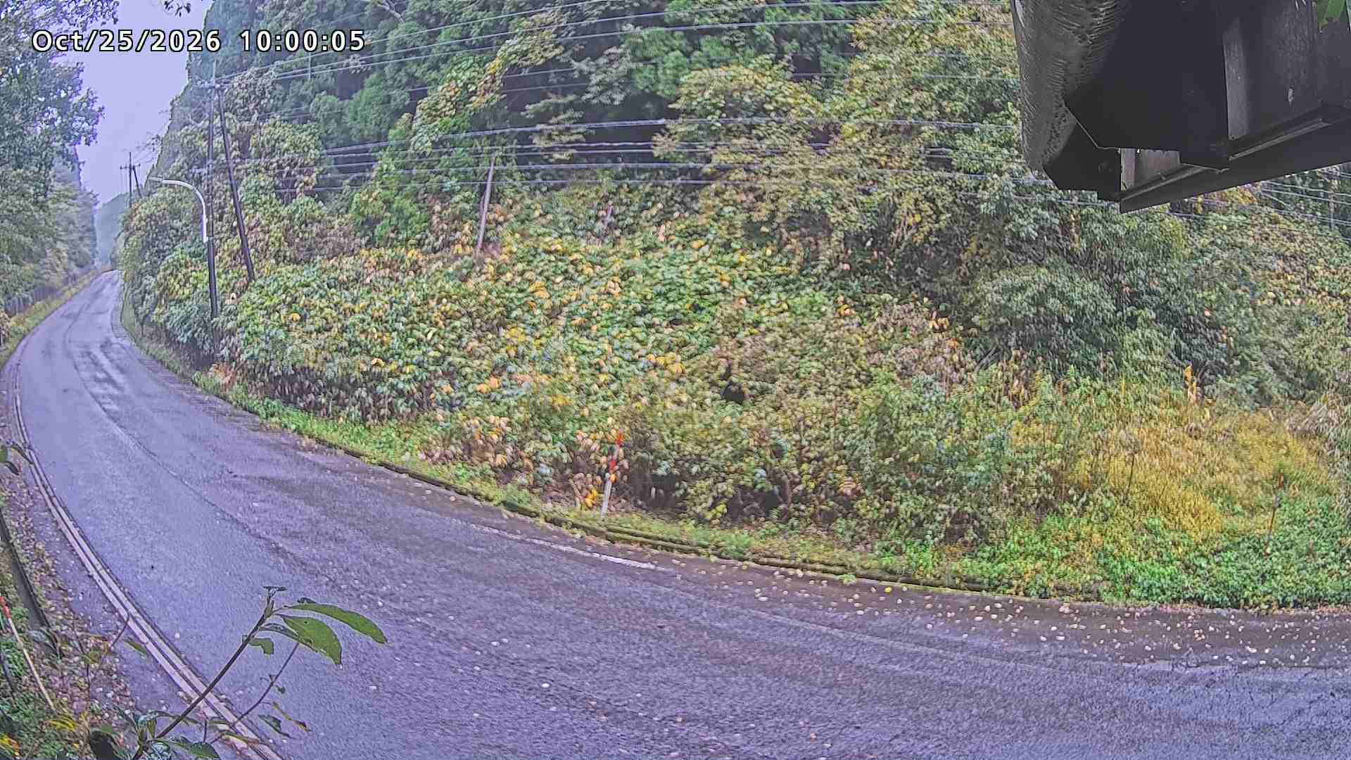 南部町大木屋
