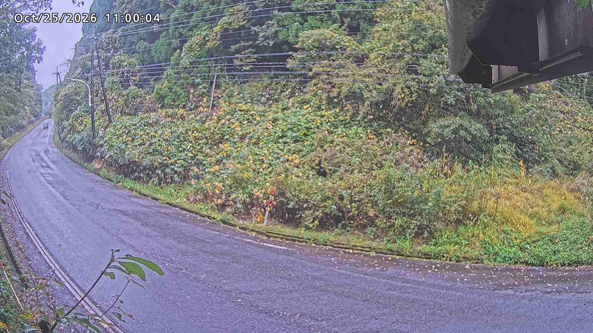 南部町大木屋