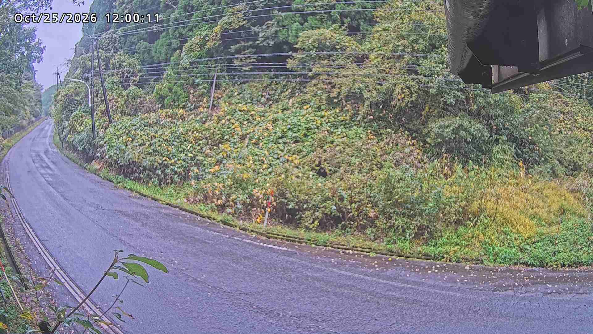 南部町大木屋
