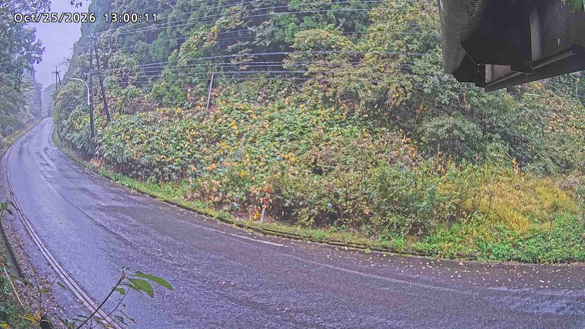 南部町大木屋