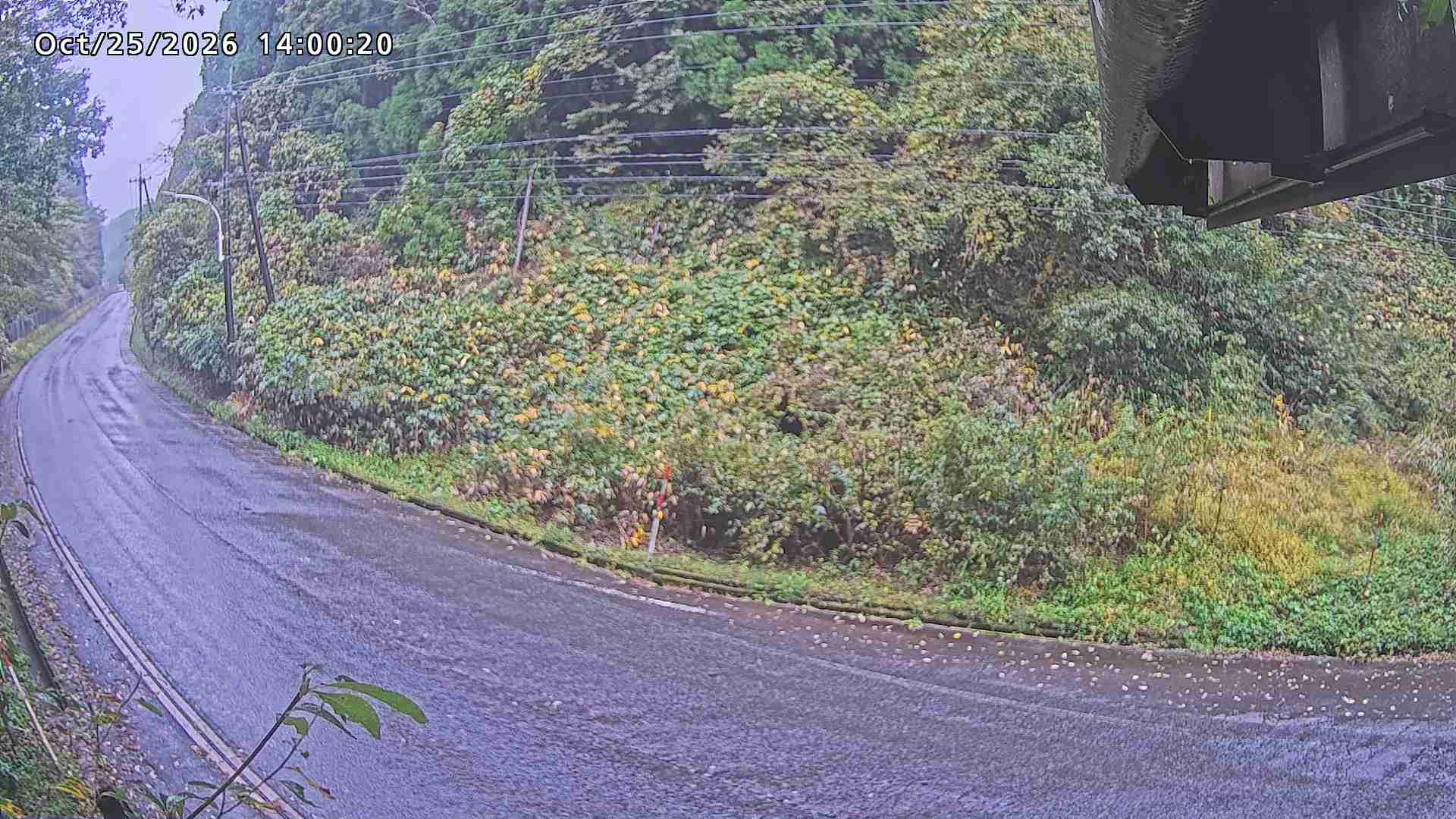 南部町大木屋