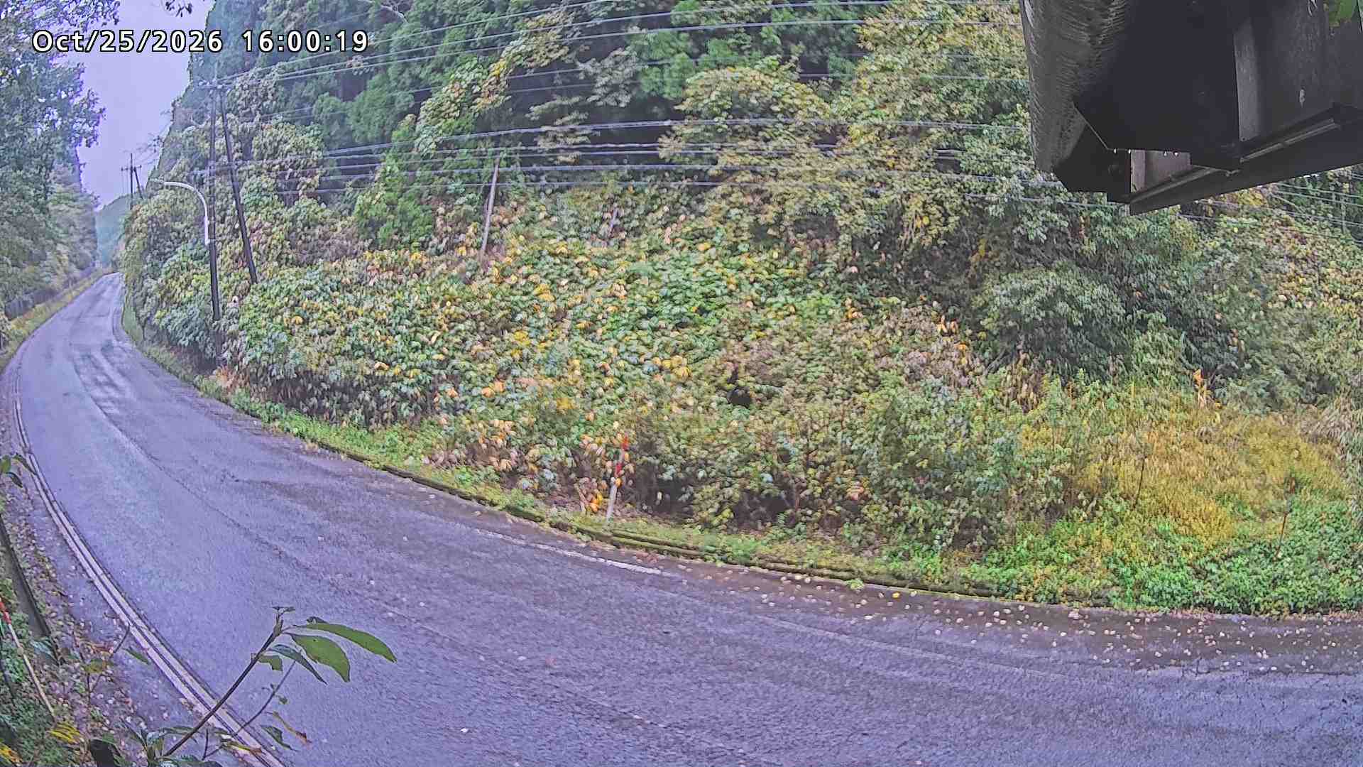南部町大木屋