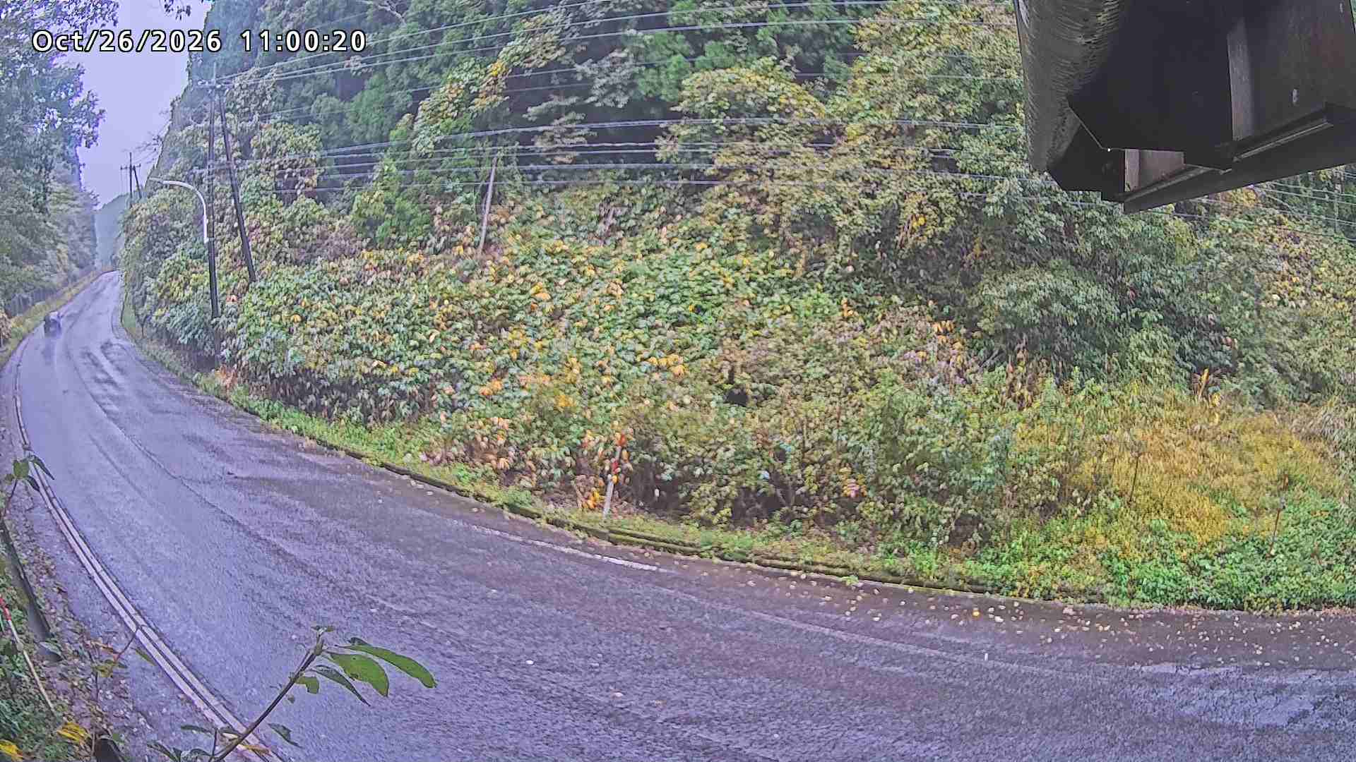 南部町大木屋