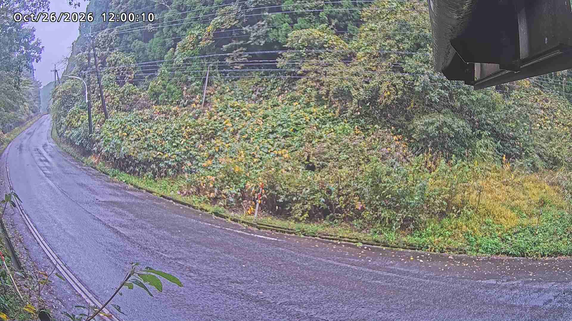 南部町大木屋