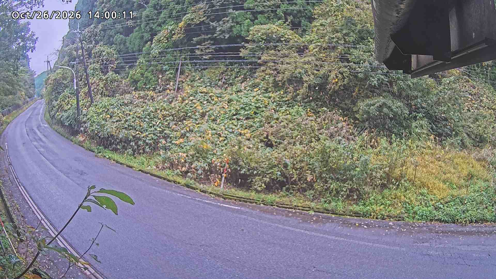 南部町大木屋