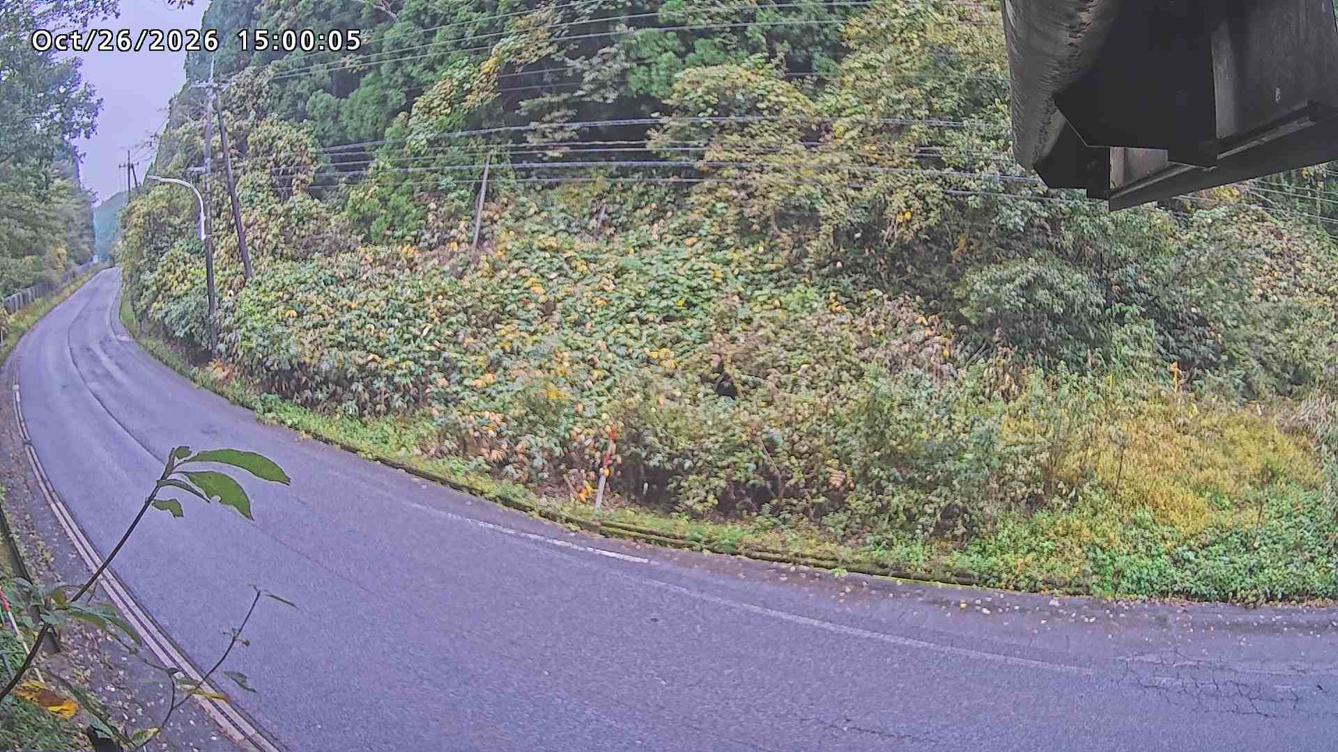 南部町大木屋