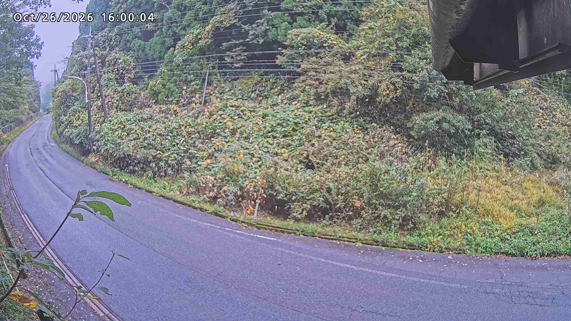 南部町大木屋