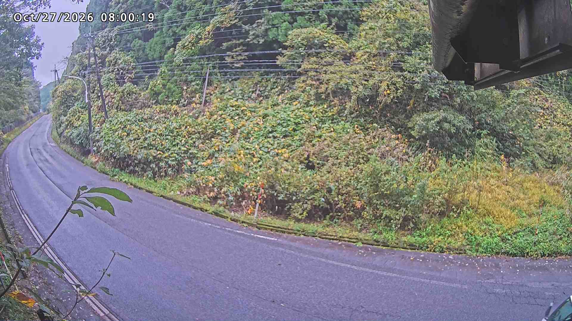 南部町大木屋