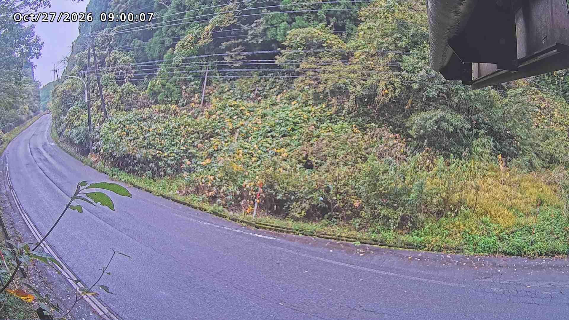 南部町大木屋