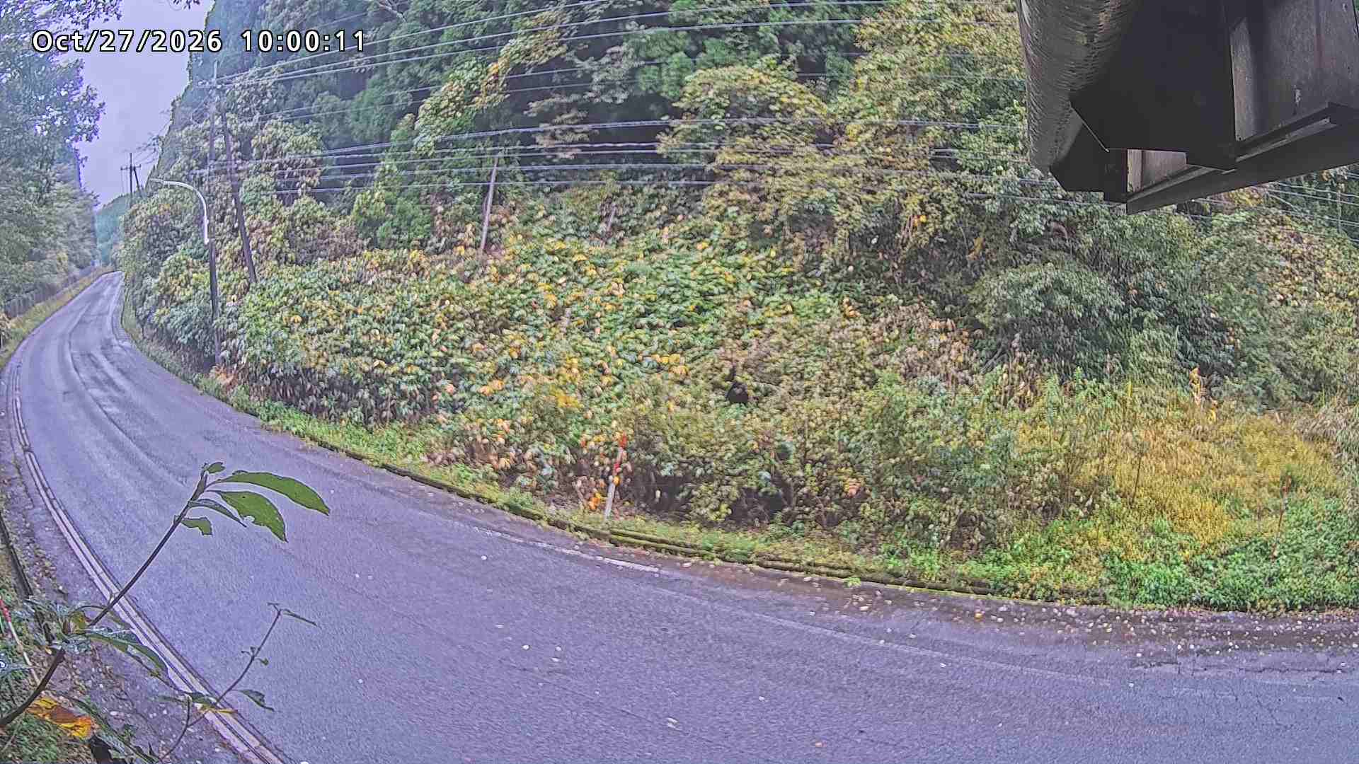 南部町大木屋