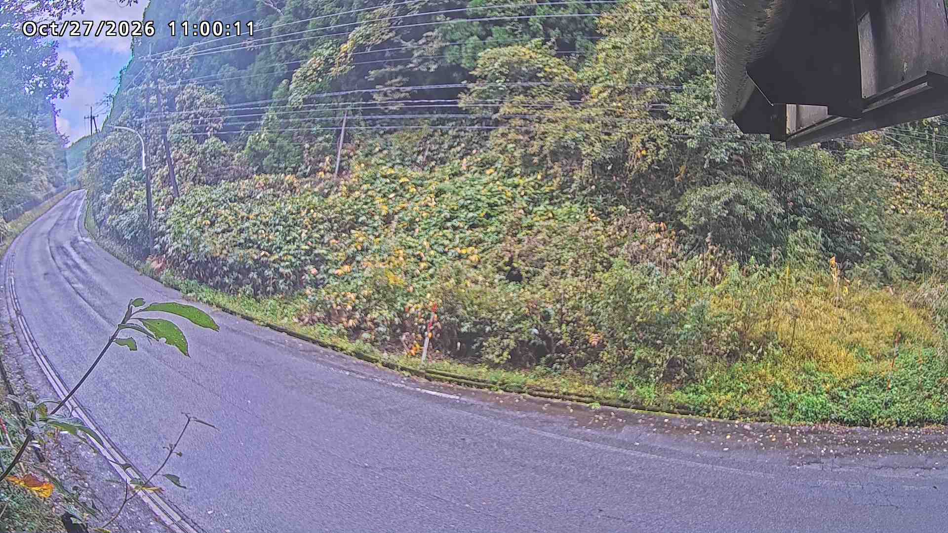南部町大木屋