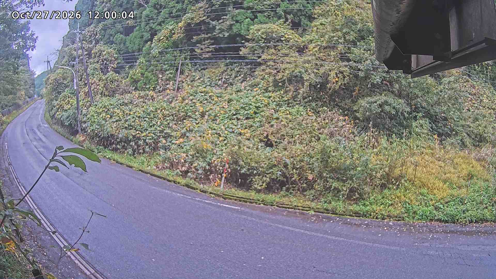 南部町大木屋
