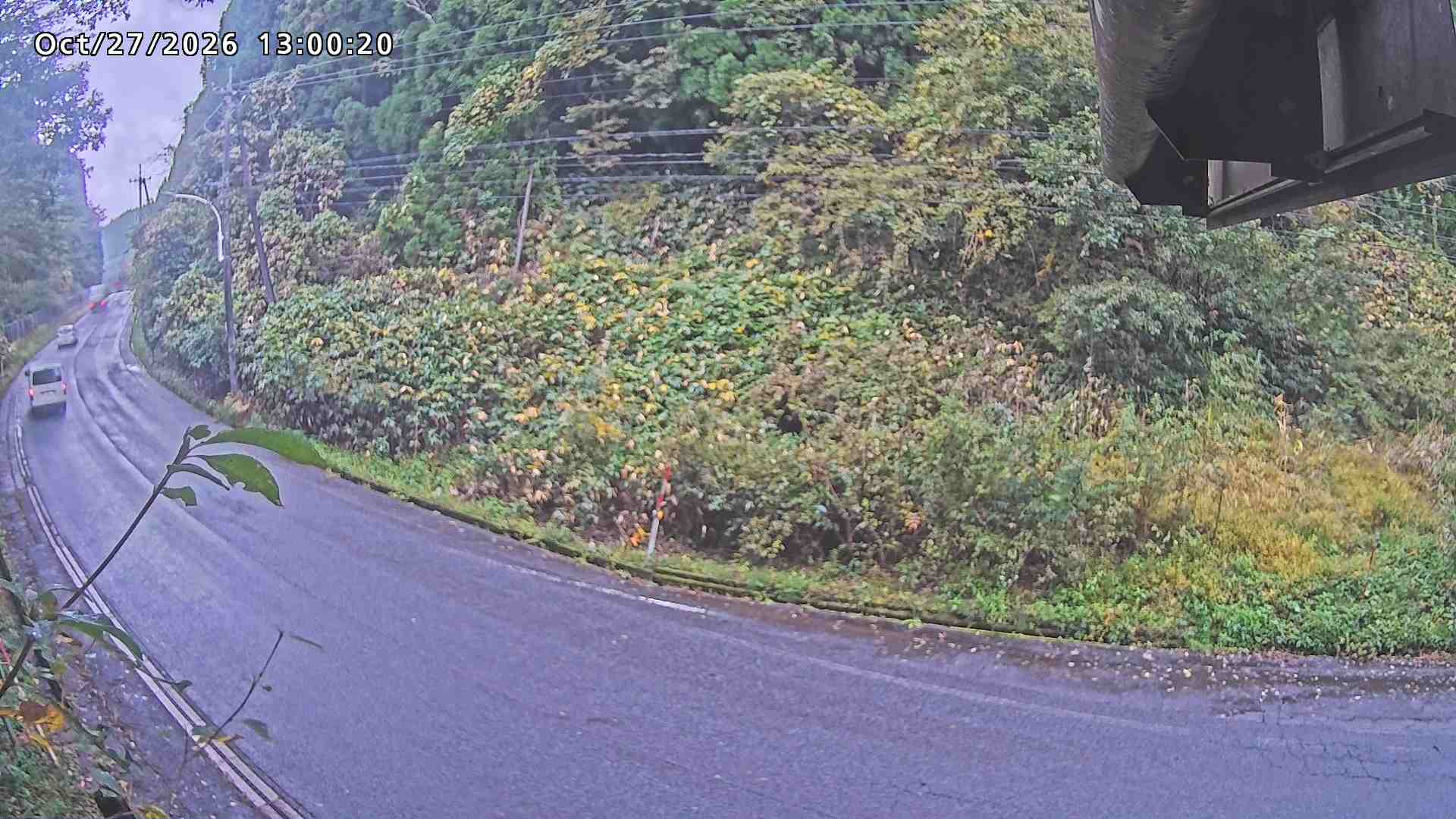南部町大木屋