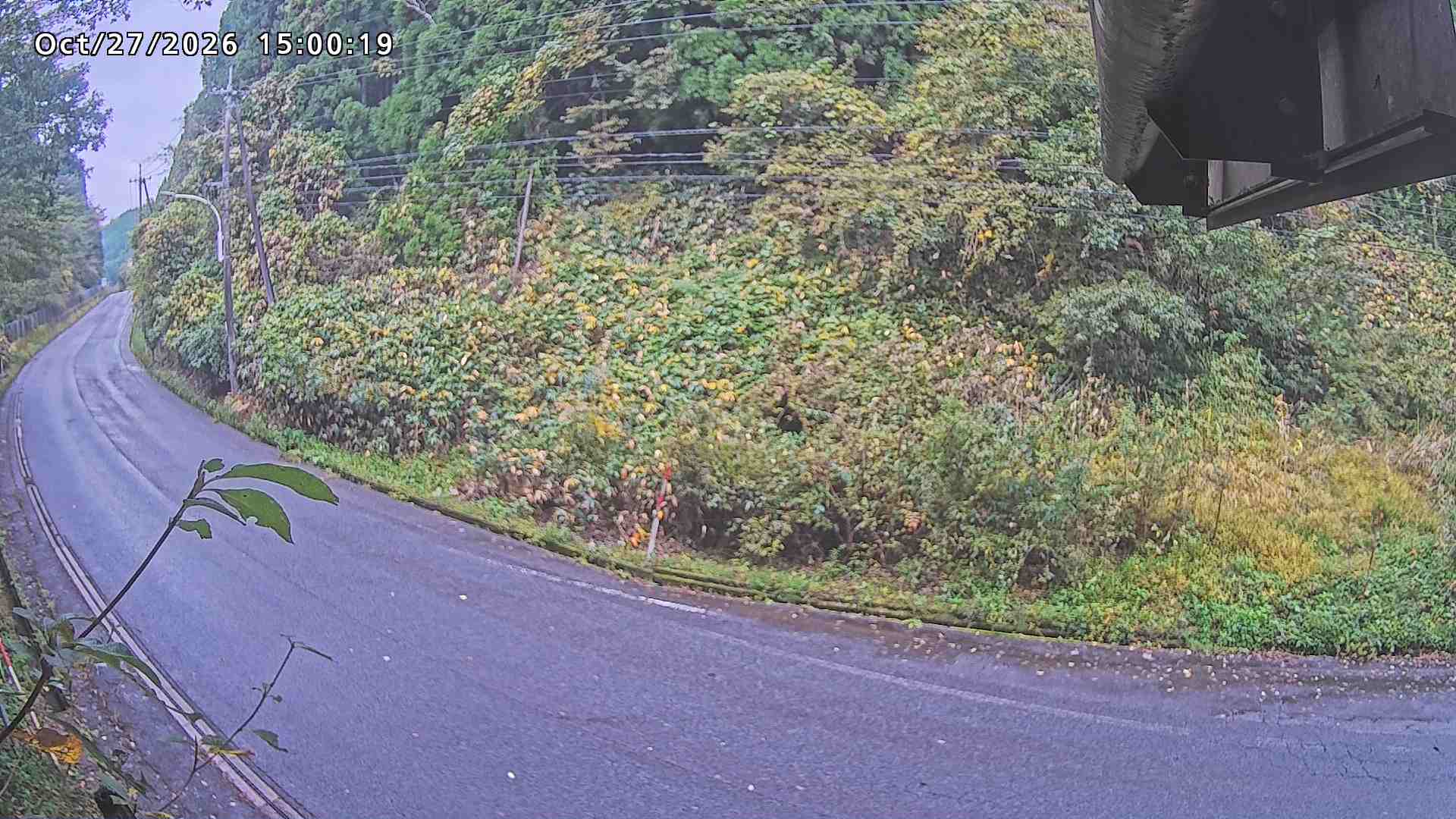 南部町大木屋