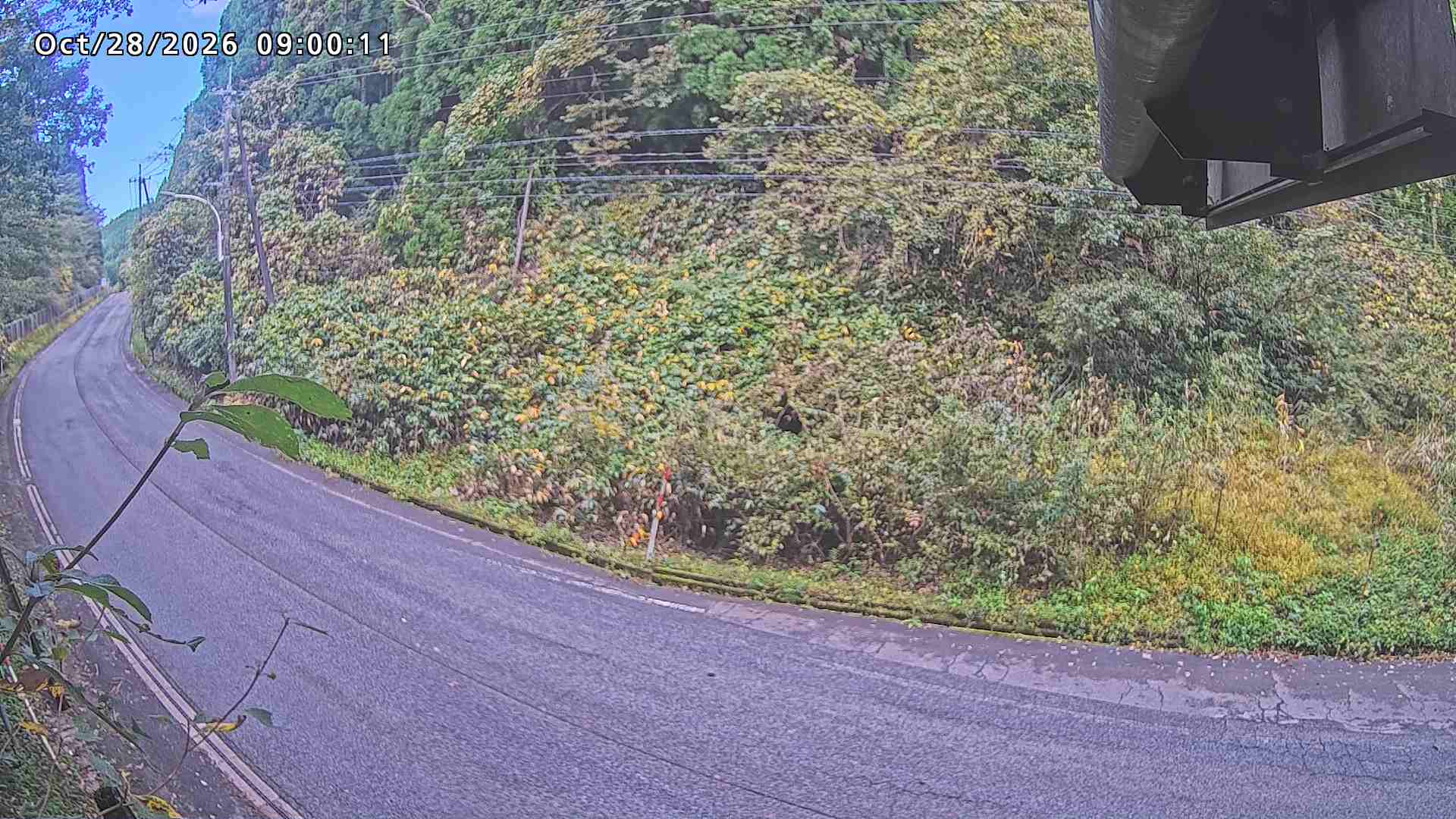 南部町大木屋