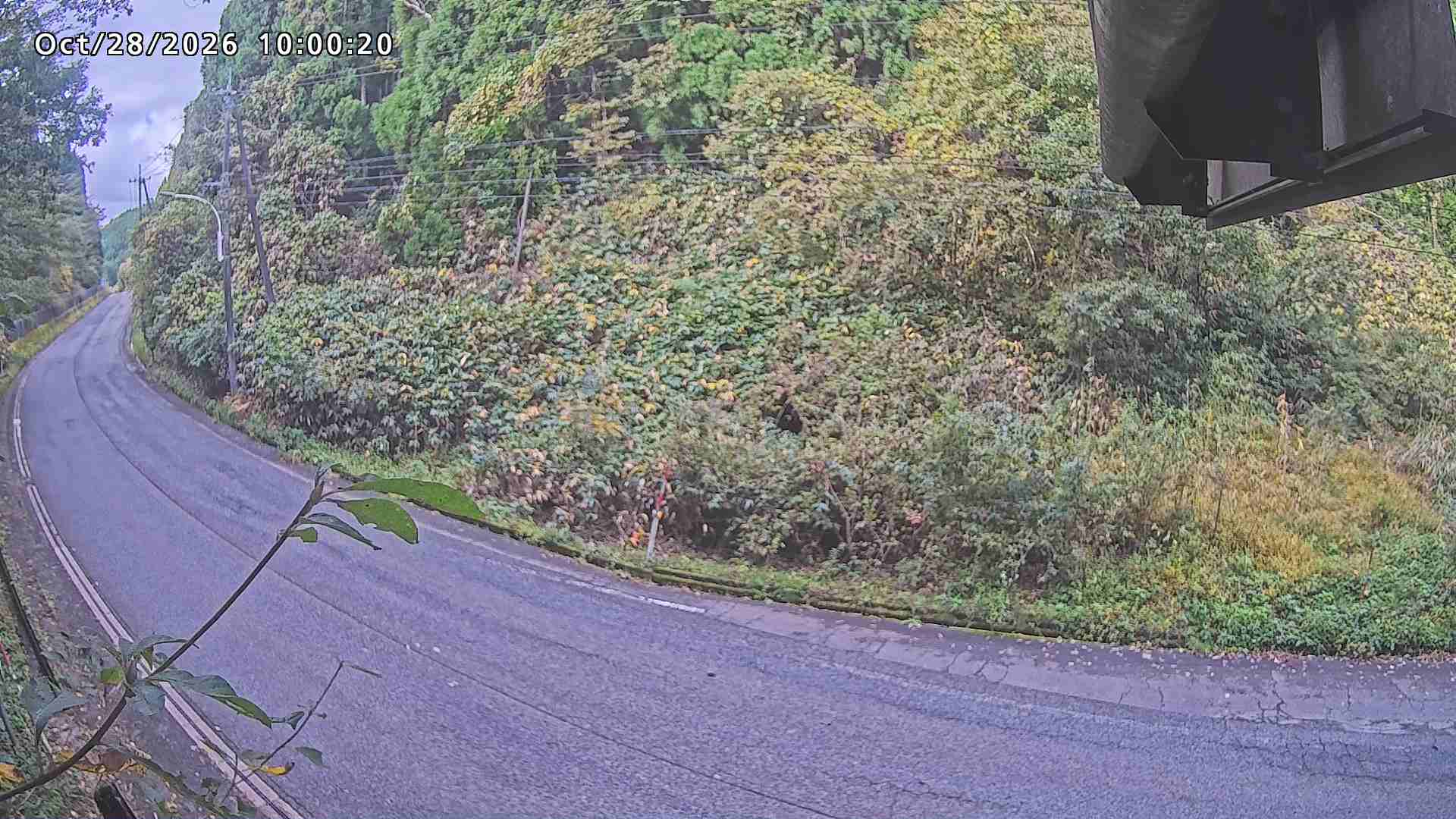 南部町大木屋