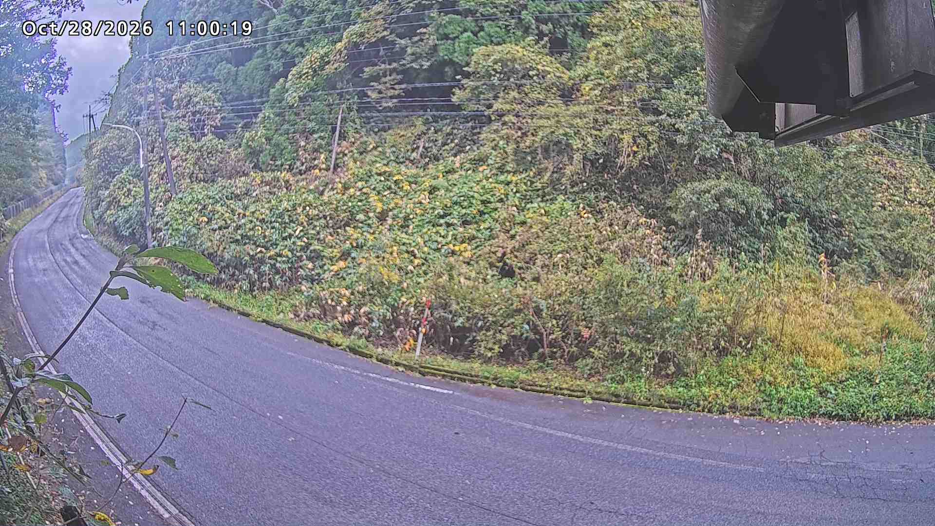 南部町大木屋