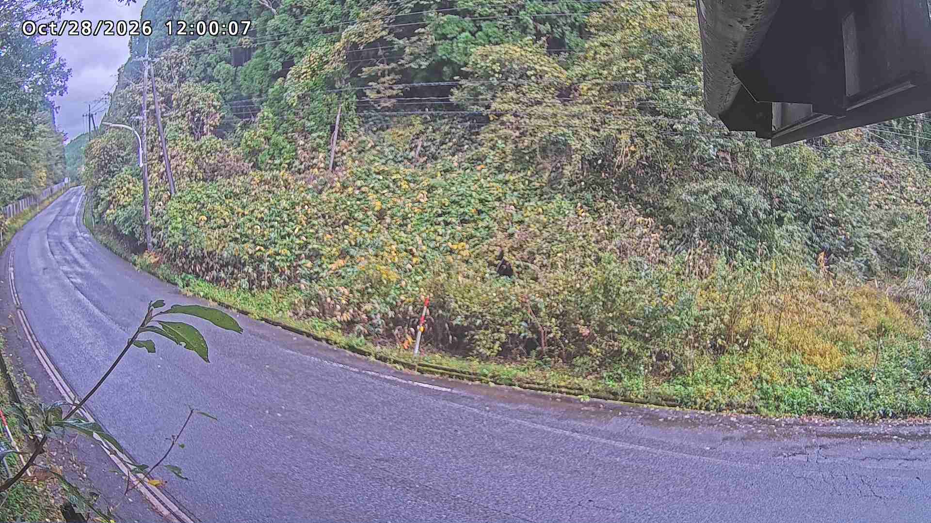 南部町大木屋