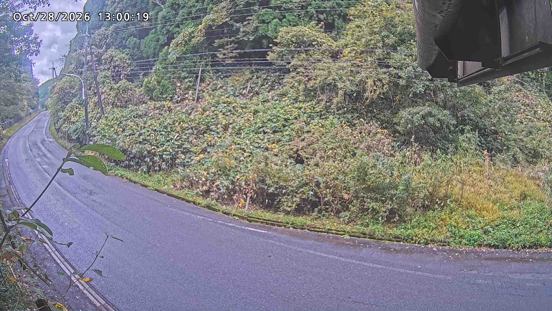 南部町大木屋