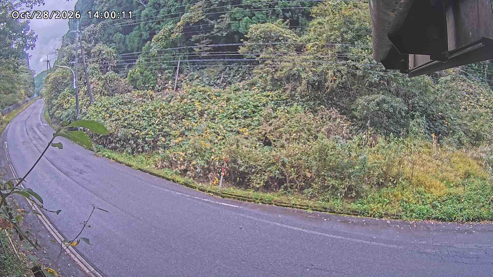 南部町大木屋