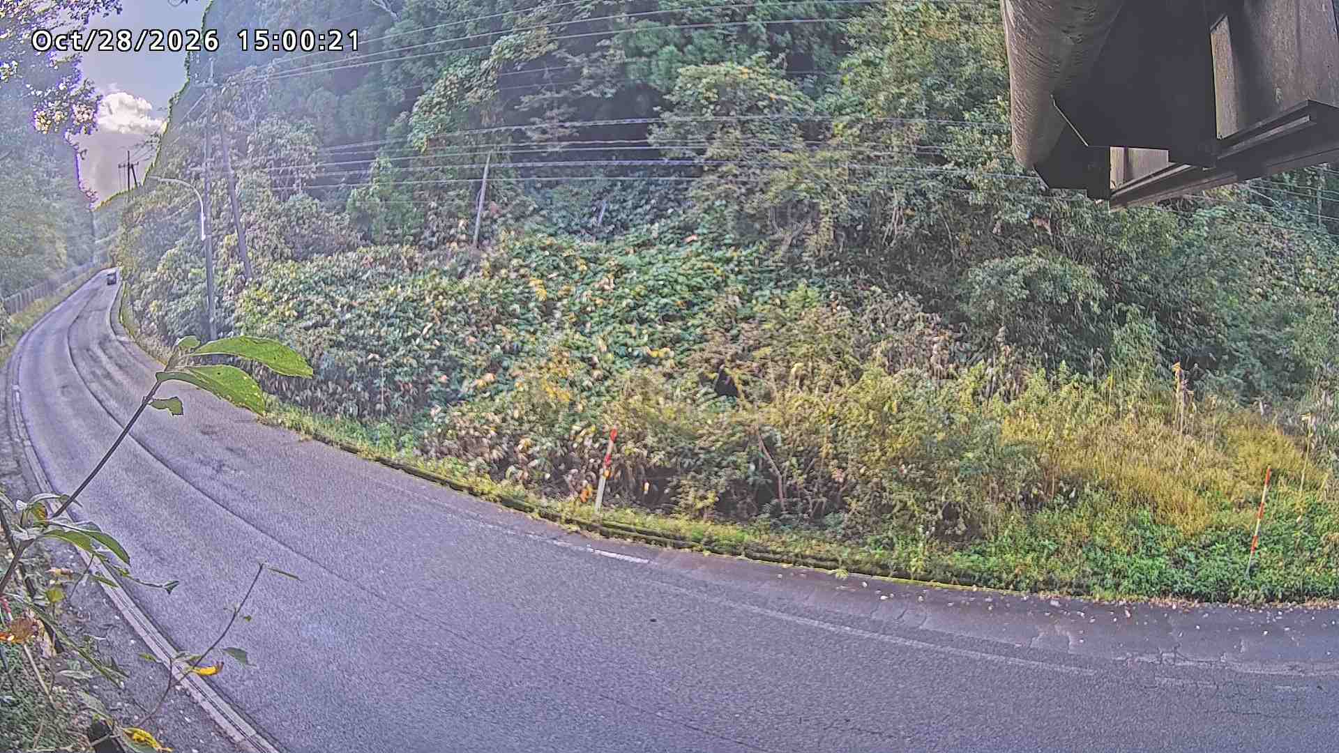 南部町大木屋