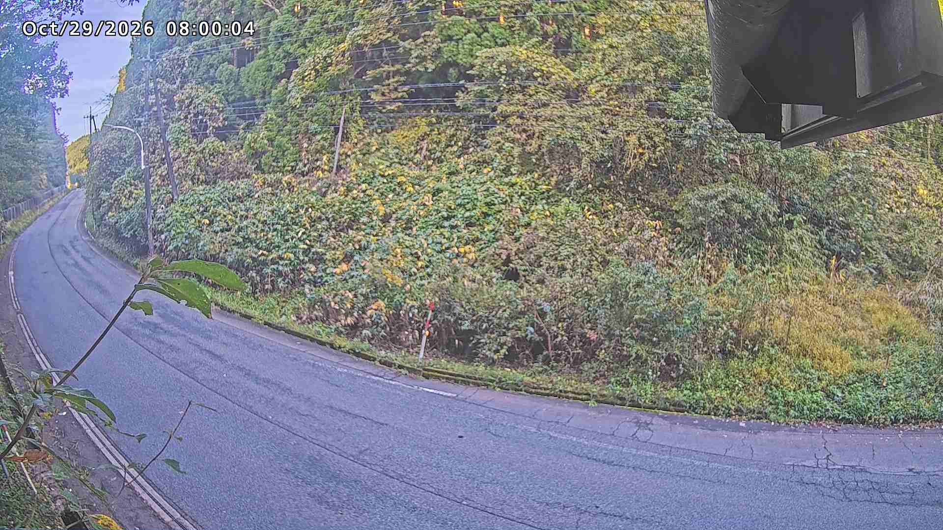 南部町大木屋