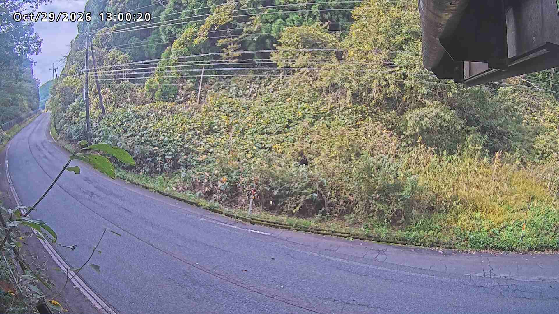 南部町大木屋