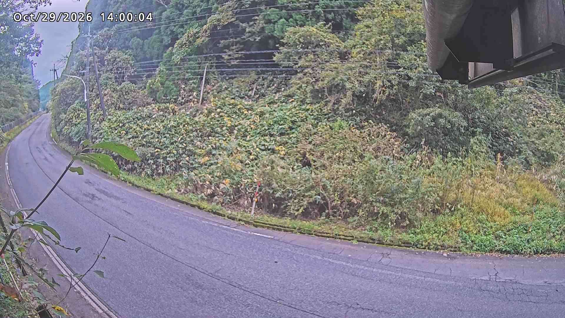 南部町大木屋