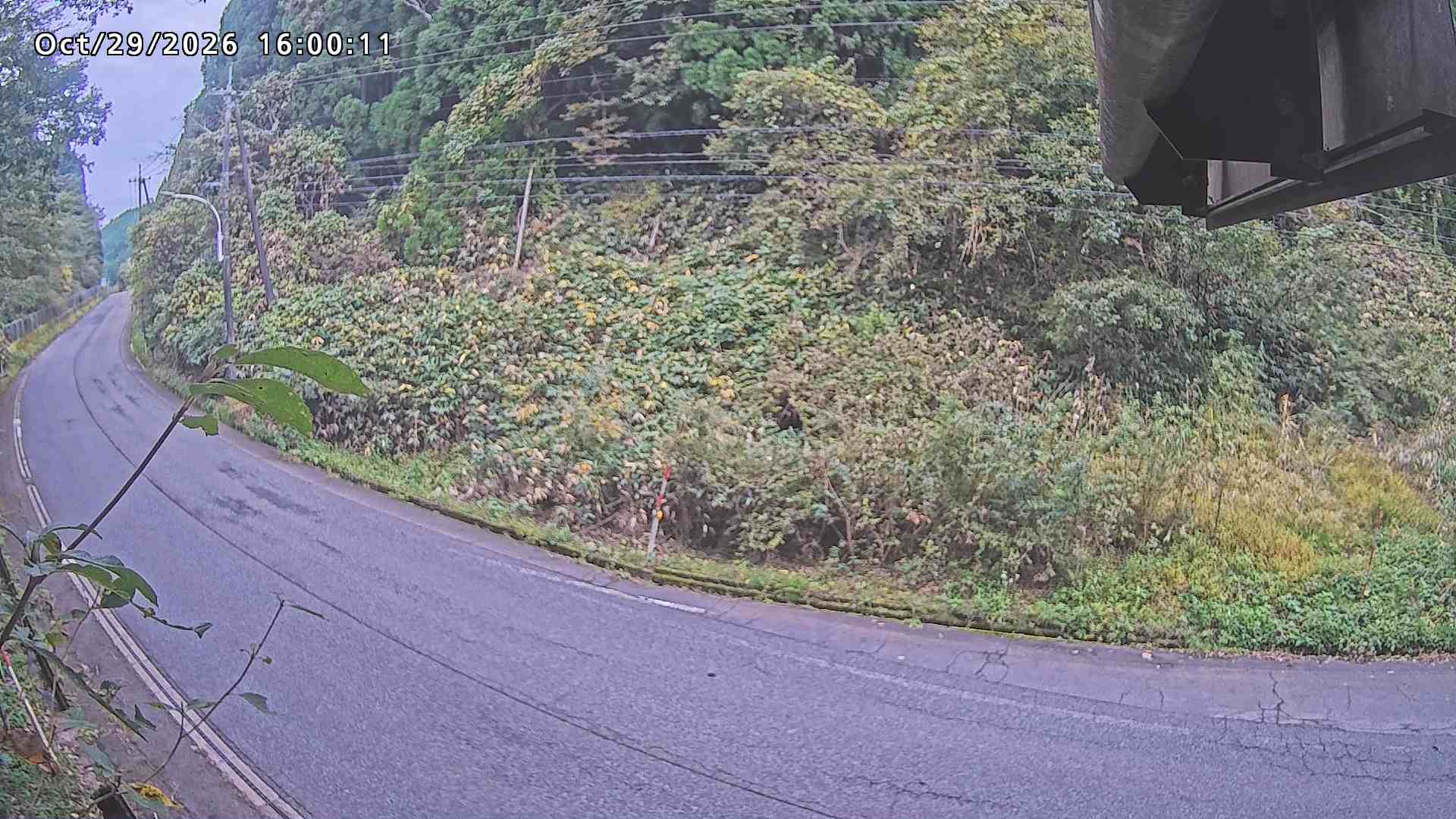 南部町大木屋
