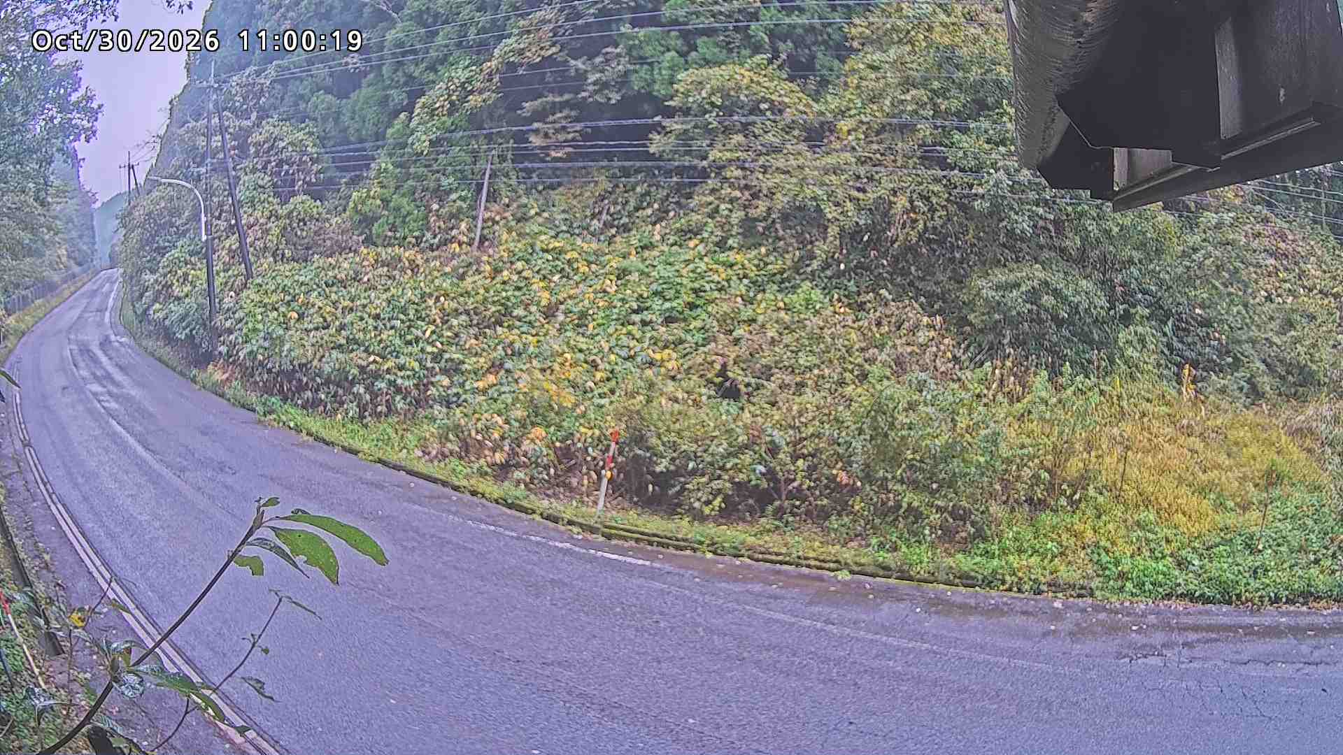 南部町大木屋