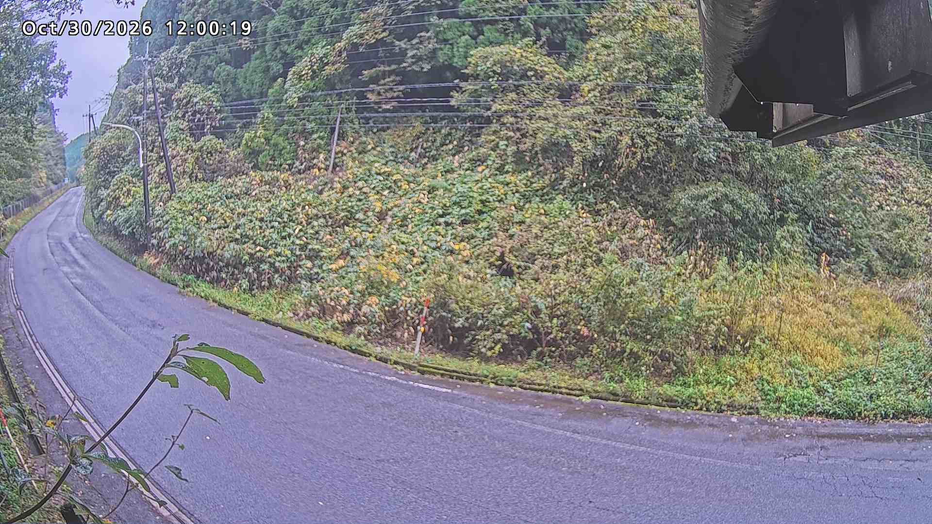 南部町大木屋