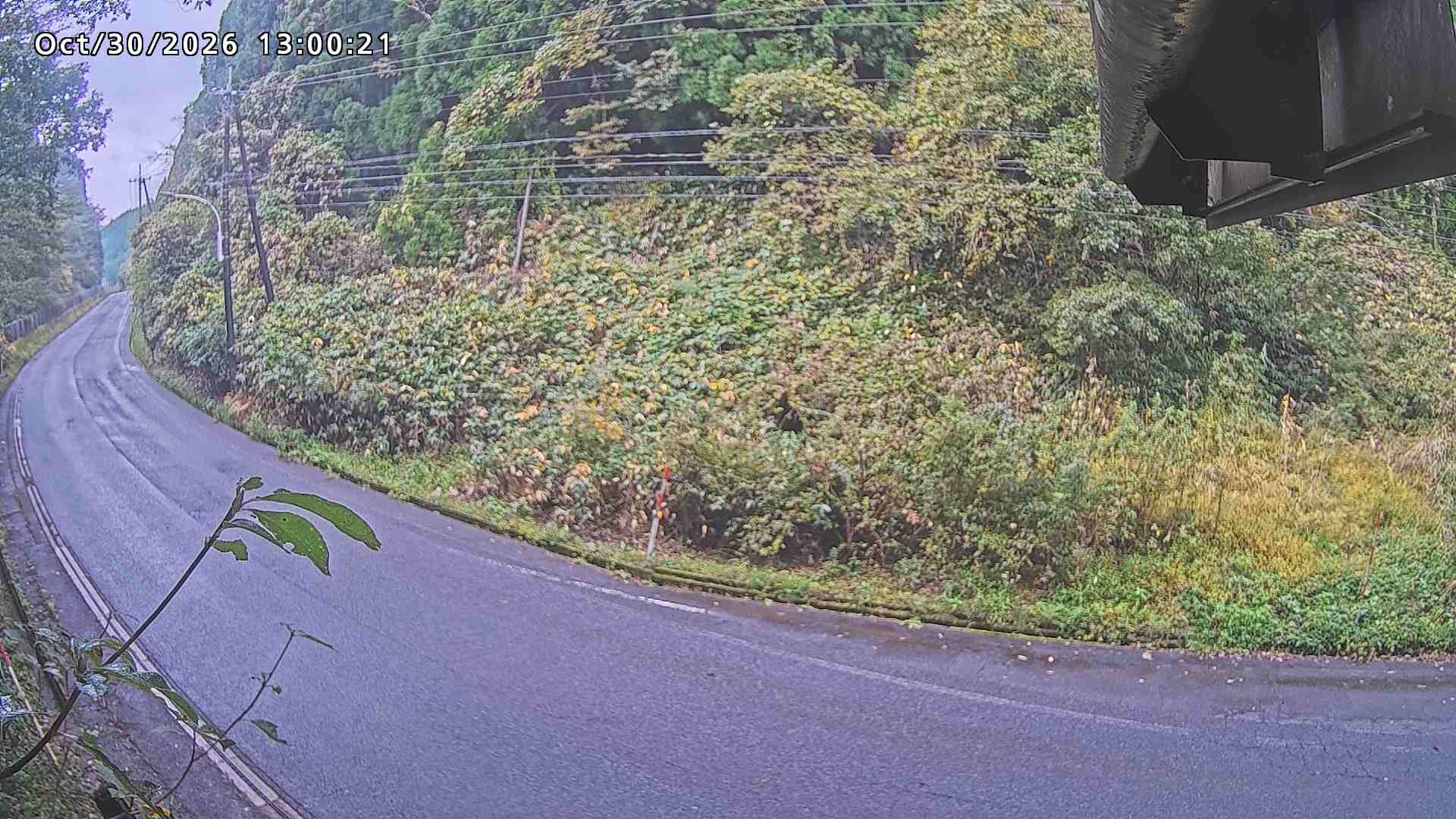 南部町大木屋