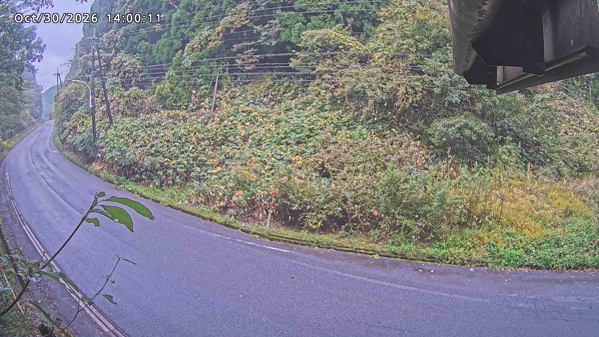 南部町大木屋