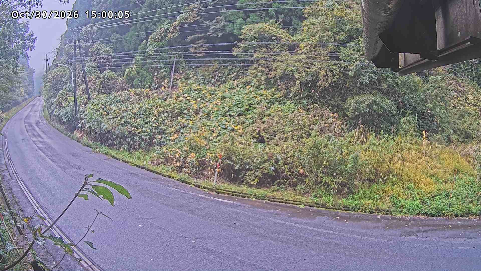南部町大木屋