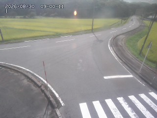 日南町阿毘縁