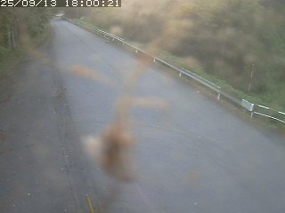 河原町北村