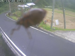 八頭町稗谷