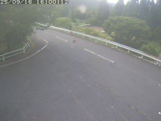 八頭町佐崎