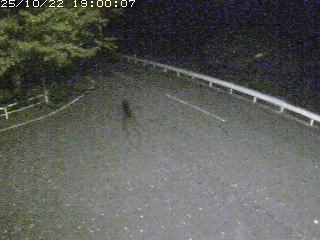 八頭町佐崎