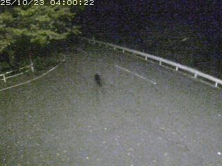 八頭町佐崎