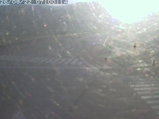 青谷町青谷【日置川橋西詰】