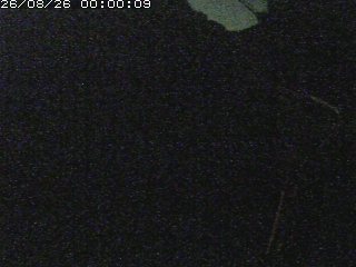 岩美町田河内