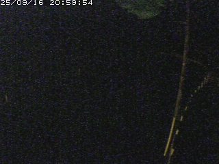 岩美町田河内