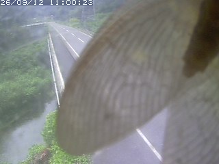 智頭町大呂