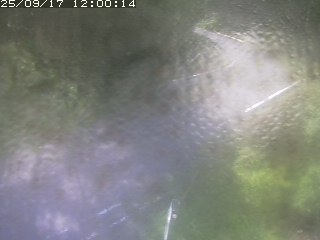 智頭町板井原