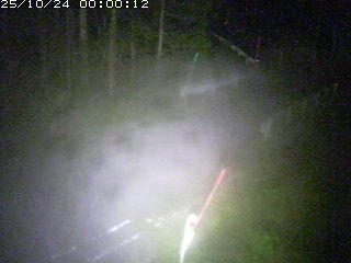 智頭町板井原